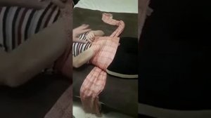 Подвязывание Ребозо после родов #послеродовоеподдвязывание #ребозокупить #ребозогдевзять