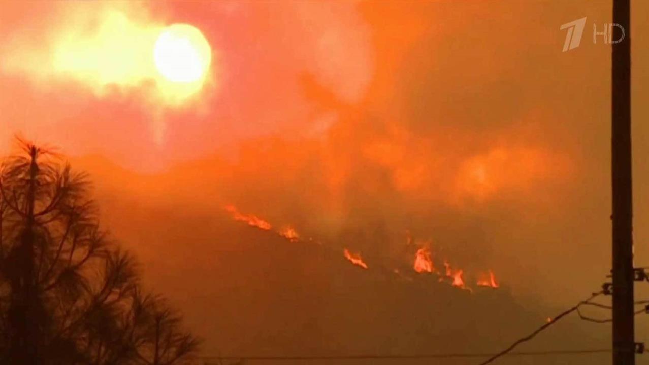 В Калифорнии огнем охвачены почти 30 тысяч гектаров леса