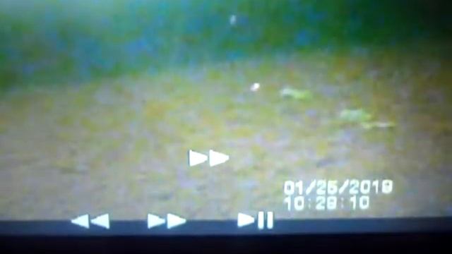 2-видео камера Калипсо в -27С. смотреть онлайн