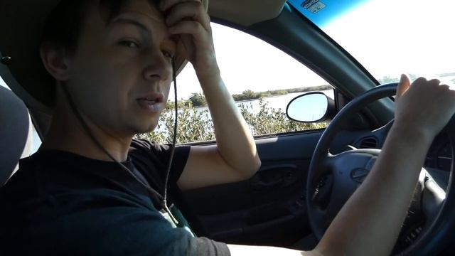 Seaside Sparrow Search (Birding In Coastal Salt Marsh) смотреть онлайн