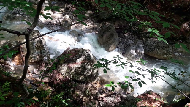 20170524_093512 смотреть онлайн