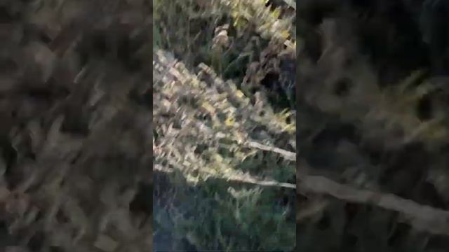 По катушки на мотокроссе по песку смотреть онлайн