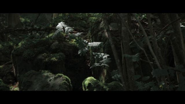 The Trail // Cinematic Video (Canon EOS 800D & DJI MAVIC MINI) смотреть онлайн