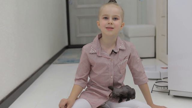 Первые дни кошечки сфинкса у нас дома. Знакомство с Тусей | Диана ВаМи