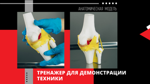 Тренажер для демонстрации техники