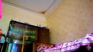 Короче говоря я бездомный котёнок часть 2