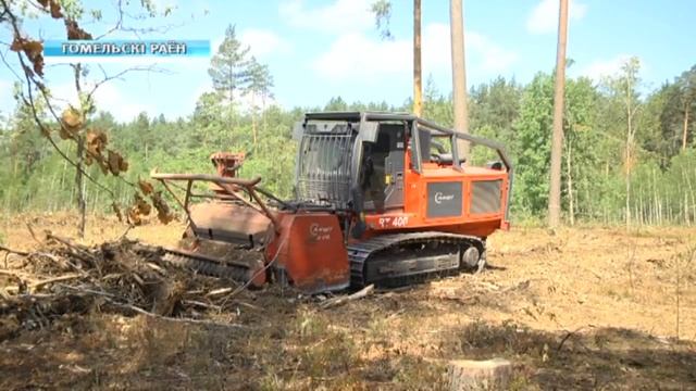 Борьба с короедом смотреть онлайн