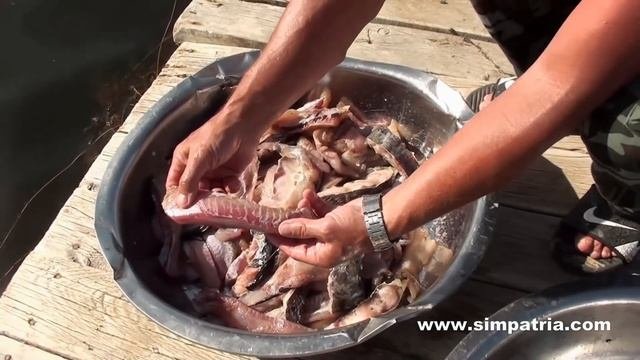 Рыба холодного копчения. Змееголов. Рецепт. МОЖНО В САМОЛЕТ