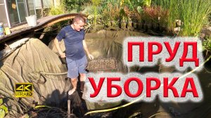 Уборка пруда. Советы по устройству пруда, биоплато, как сажать нимфеи + карпы кои