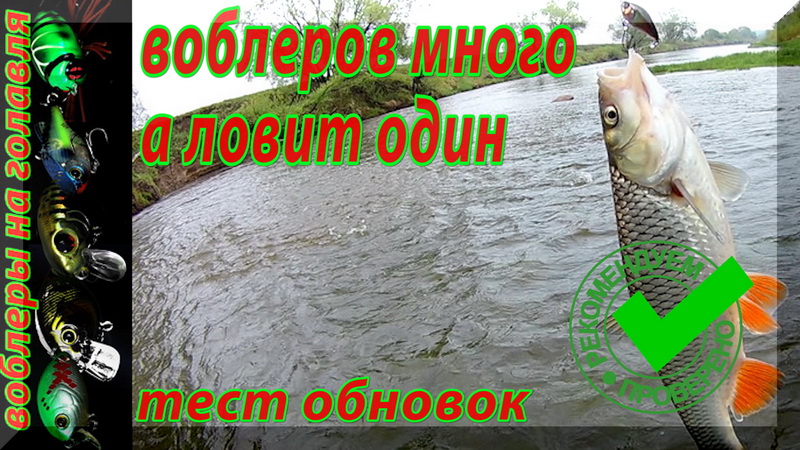 Голавль на спиннинг весной. Тест воблеров на голавля.