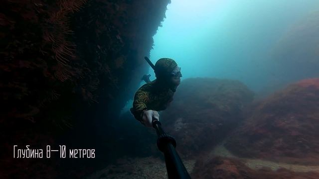 Самая большая морская звезда какую находил. Ныряем под разваленный форт во Франции. Фридайвинг