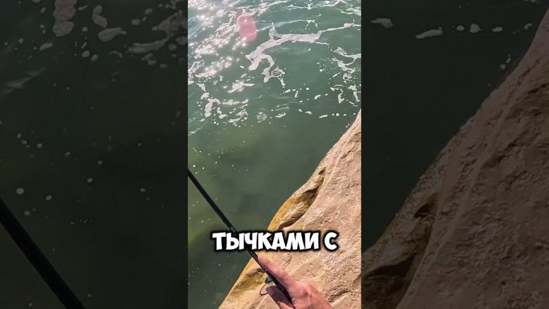 Как поймать ЛАСКИРЯ на Чёрном море??? #крым #рыбалка #черноеморе #fishing