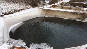 Садки , выращивание рыбы в пруду. Зимовка.
