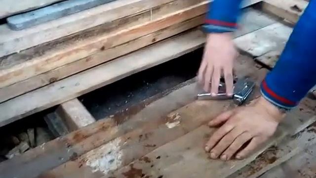 обзор козлятника птичника ч5 смотреть онлайн