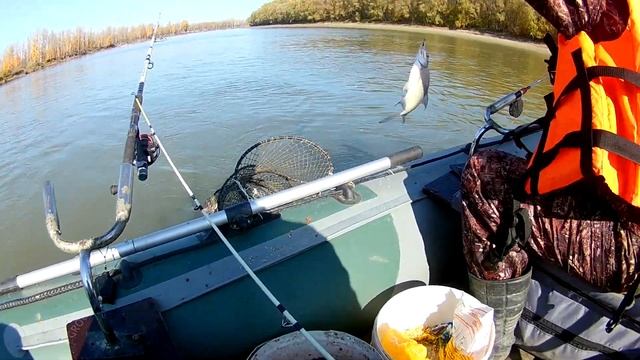 Рыбалка на донки . 3 дня на Оби . смотреть онлайн
