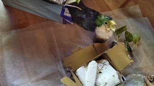 Распаковка посылки с комнатными  растениями