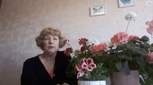 Цветет герань! Что надо для обильного цветения?