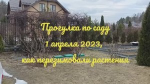 Прогулка по саду 1 апреля, Подмосковье, сезон 2023