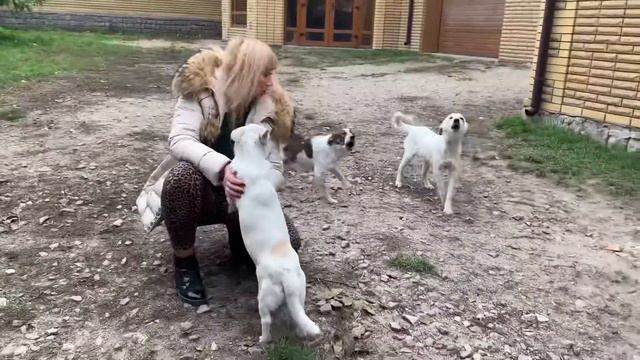 БЕЗУСЛОВНАЯ ЛЮБОВЬ смотреть онлайн