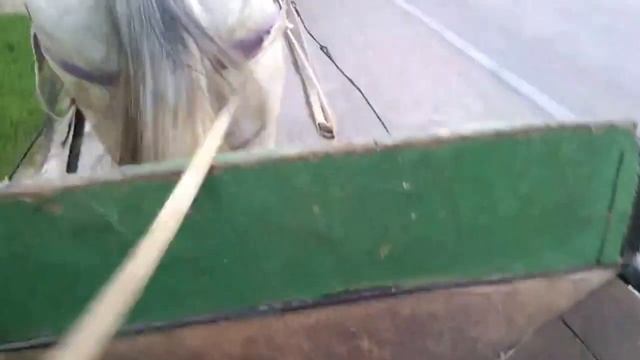 Дорога на дискотеку в селе! смотреть онлайн