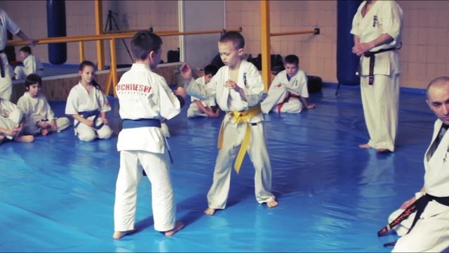 Seminar shinkyokushinkai karate by Levitskiy Igor (Ukraine, OOFKK)