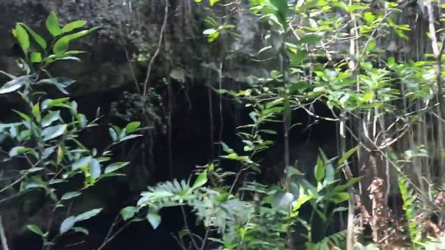 Сеноты Мексики. Чудеса природы. 2019 смотреть онлайн