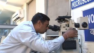 Тормозные колодки Allied Nippon Ltd