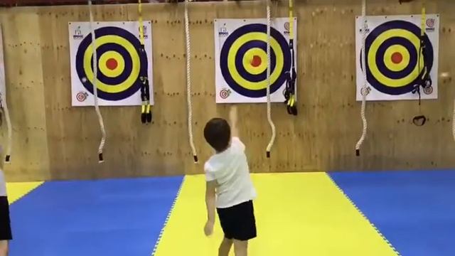 Броски в цель.
