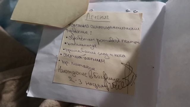 КОТ БАСИК ЗАБОЛЕЛ / Миша попал в больницу смотреть онлайн