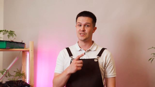 Не знаете, какое растение подойдет для вашего участка? Мы поможем сделать правильный выбор!