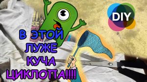 В ЭТОЙ ЛУЖЕ КУЧА ЦИКЛОПА!!! ЛОВЛЯ ЦИКЛОПА ДЛЯ РЫБОК / ЦИКЛОП ПОД МИКРОСКОПОМ #АКВАМЕН #СВОИМИ_РУКАМИ
