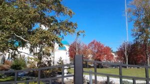 Рябиновый город - песня о Южно-Сахалинске 1982 г.