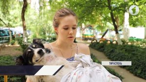 Пёс, на которого напал питбуль, выжил