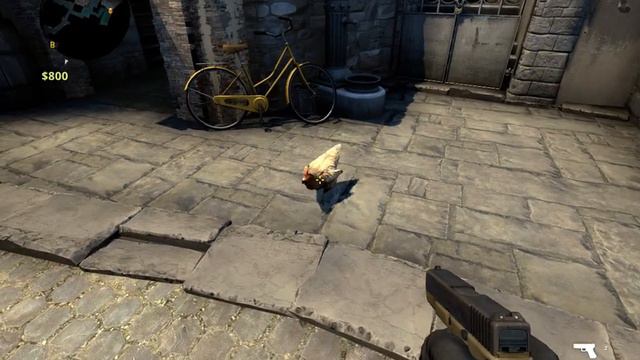 Топ 10 Случаев необычного поведения животных смотреть онлайн