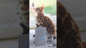 Водородный ингалятор Water Care