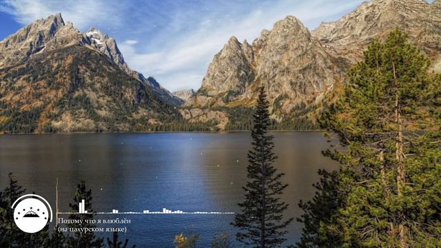 ПОТОМУ ЧТО Я ВЛЮБЛЁН | ПЕСНЯ НА ЦАХУРСКОМ смотреть онлайн