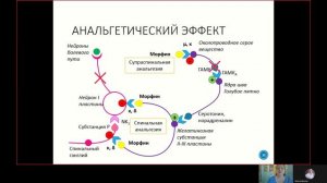 Фарма ВСЕ 5.3. Наркотические анальгетики.mp4