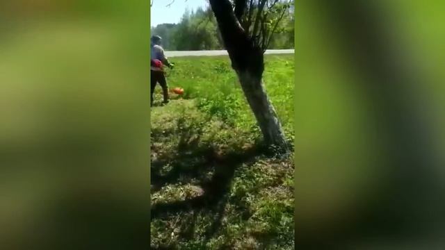 Профессиональный покос травы у трассы смотреть онлайн