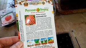 Посев на Рассаду ОСТРОГО ПЕРЦА "БАРАННИЙ РОГ". часть1.  14.02.2020г.