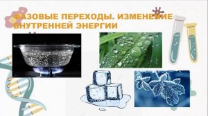 АГРЕГАТНЫЕ СОСТОЯНИЕ ВЕЩЕСТВА. Химия 7 класс.