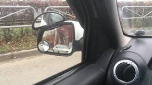 Параллельная парковка (город)