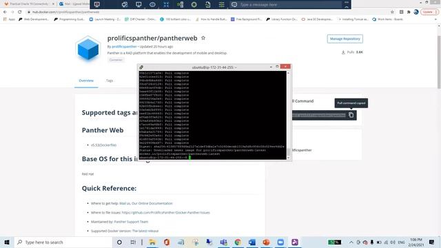 Access and run a Panther Docker Container смотреть онлайн