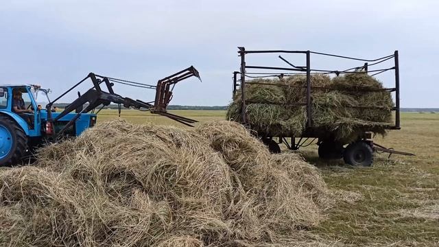 Миссия успеть до дождя. Погрузка сена на тракторе Т-40. Окончание сенокоса. смотреть онлайн