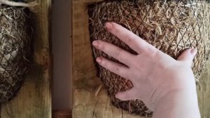 Комнатные цветы в интерьере. Новая локация.