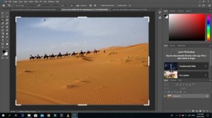 Crop Tool in Adobe Photoshop CC 2020/How To Use Crop Tool in Photoshop 2020