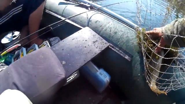 Ох он красавчик этот предсерийник TsuYoki CHANCE 130SP MR смотреть онлайн