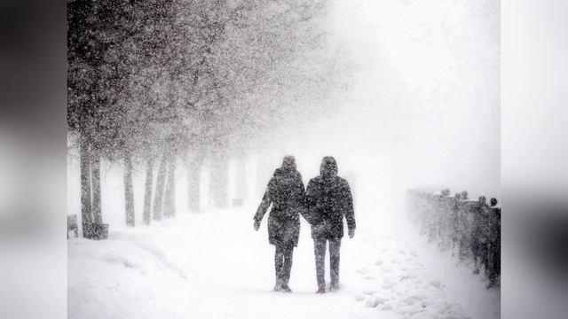 -ЧТО ПО ПРОГНОЗУ? Автор- Алеся Синеглазая, текст читают- Юрий Пленин, Марина Ермолаева смотреть онлайн