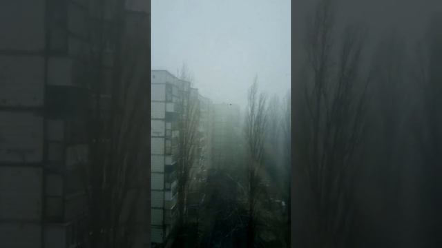 Погода в Липецке 💦 смотреть онлайн