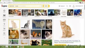 Поисковая система Яндекс.