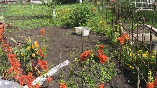 Садовые работы. Покос. Исследование чердачного помещения. №20 про дачу. смотреть онлайн